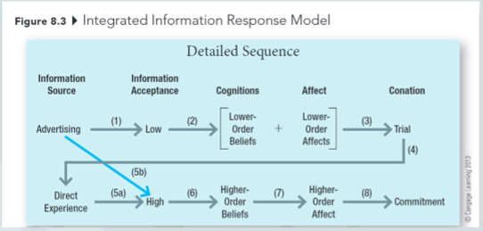 Interview several other students (at least 3 students) on a recent purchase