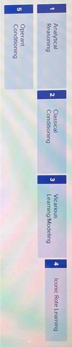 Iconic Rote Learning 3 Operant Conditioning Marketers Use of Learning Theories Learning