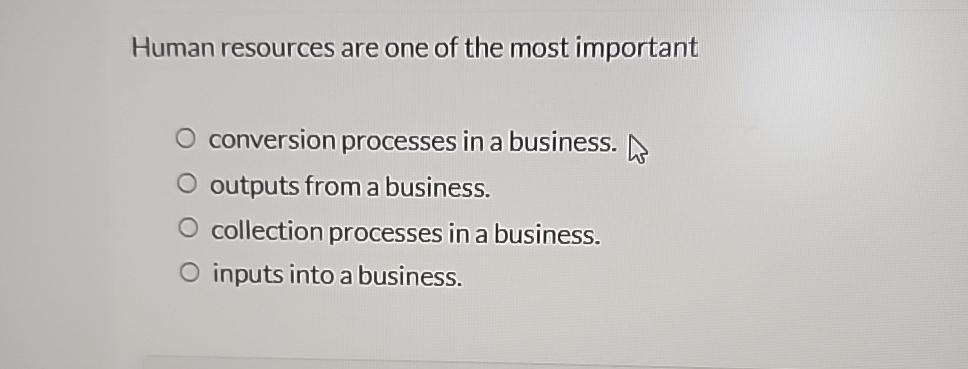  Human resources are one of the most important conversion processes in