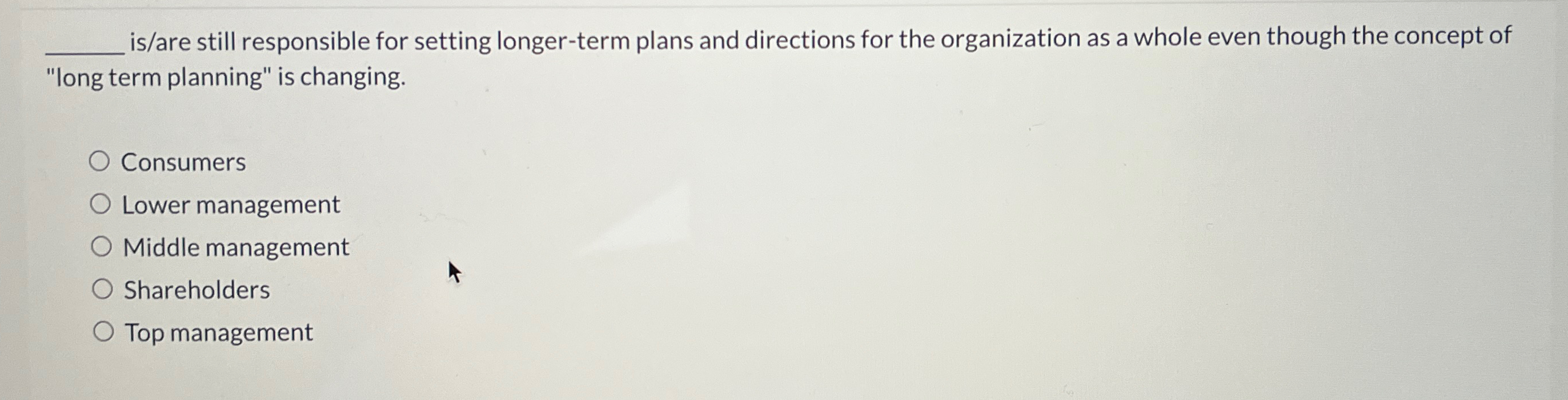  is/are still responsible for setting longer-term plans and directions for the