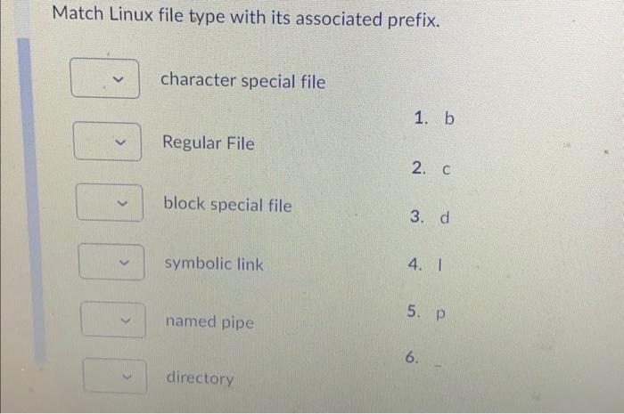  Match Linux file type with its associated prefix. character special file