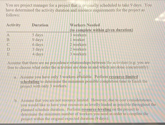 can you please explain your work You are project manager for a
