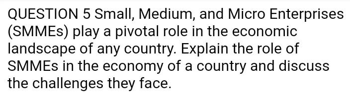 QUESTION 5 Small, Medium, and Micro Enterprises (SMMEs) play a pivotal