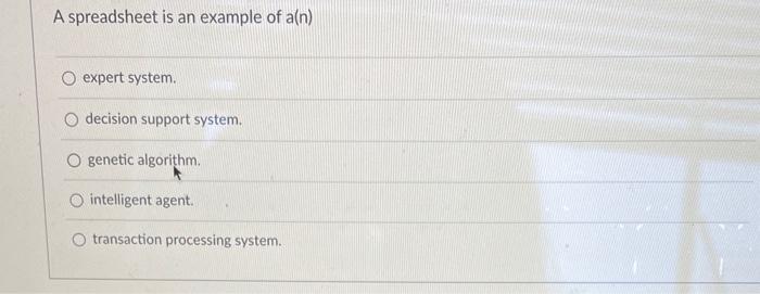  A spreadsheet is an example of a(n) expert system. decision support