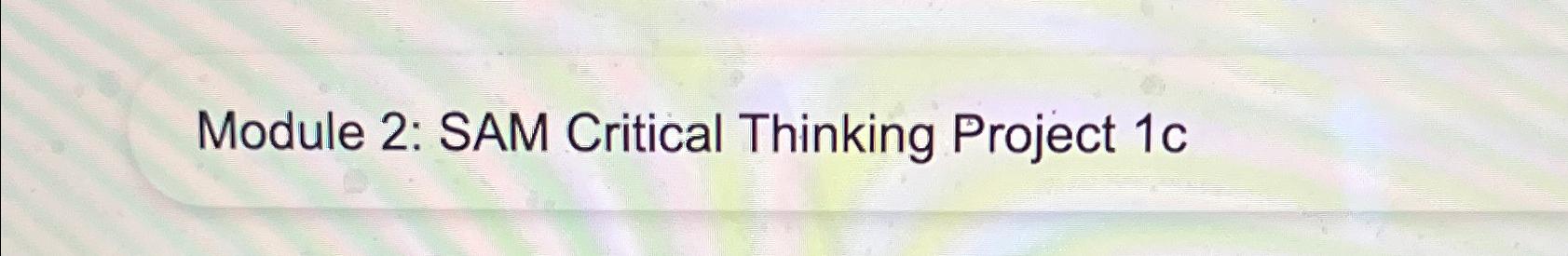  Module 2: SAM Critical Thinking Project 1c 