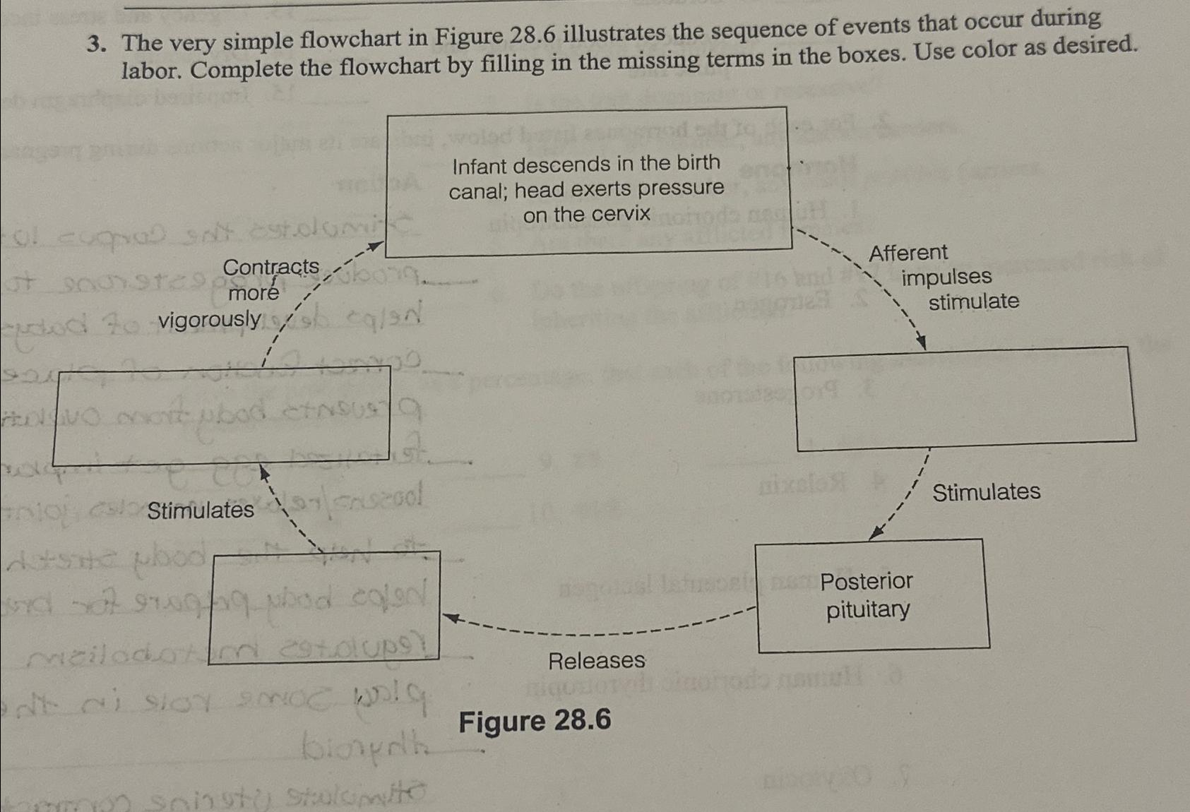  The very simple flowchart in Figure 28.6 illustrates the sequence of
