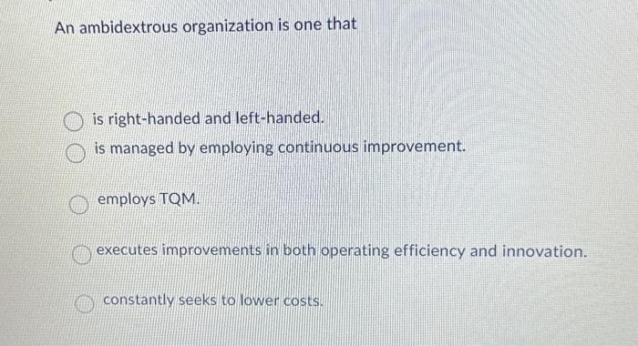 to present resources. product or service a firm provides. functional management processes.