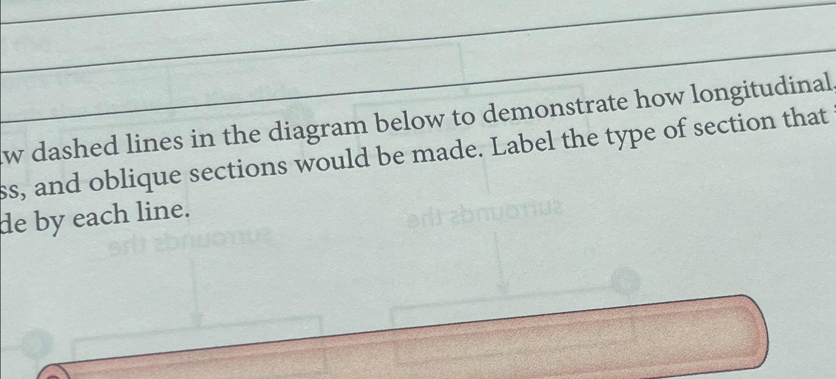  dashed lines in the diagram below to demonstrate how longitudinal ss,