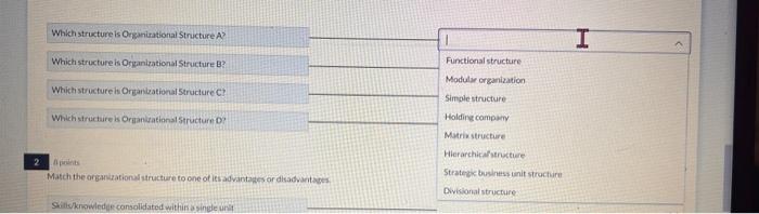 4 points Match the organizational structures shown below with their name-