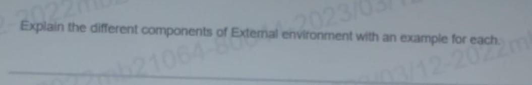  Explain the different components of External environment with an example for