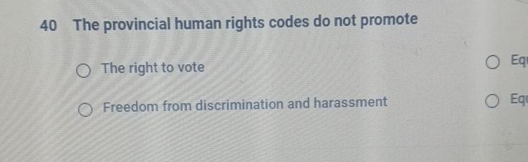  40 The provincial human rights codes do not promote The right