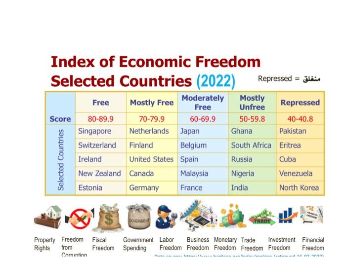 Performance The Global Business Environment - Broad classes of countries include -