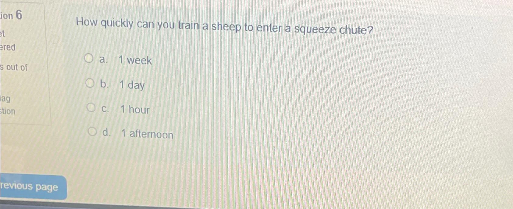  How quickly can you train a sheep to enter a squeeze