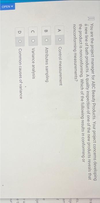 project management I: You are the project manager for ABC Beauty Products.