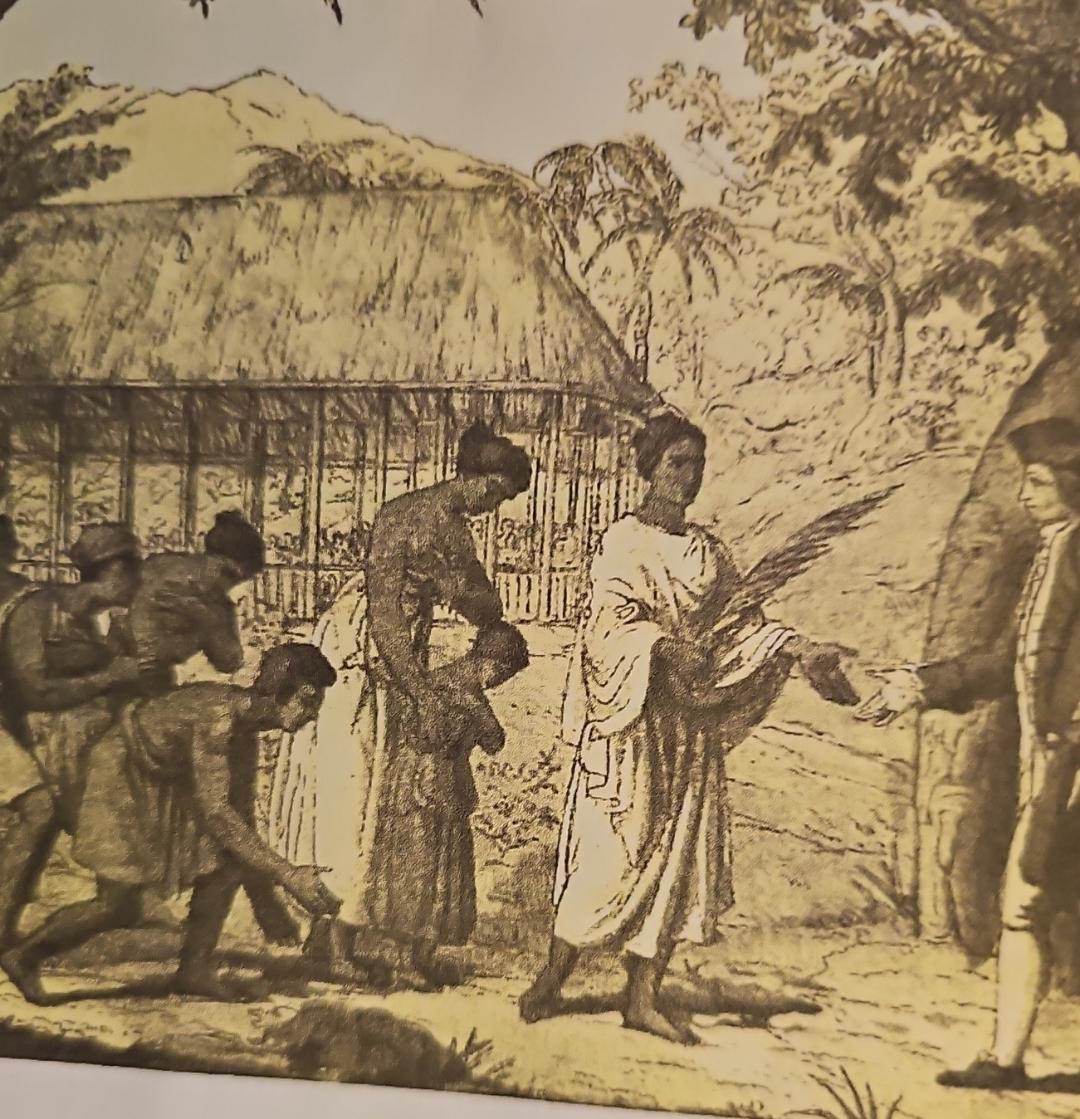  who is the author for this book 