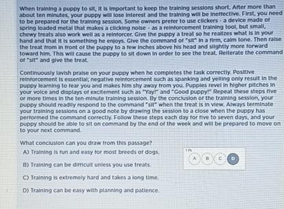  When tralining a puppy to sit, it is important to keep