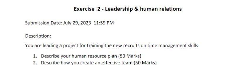  Exercise 2 - Leadership \& human relations Submission Date: July 29,