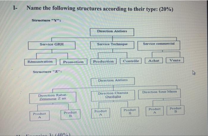  Name the following structures according to their type: (20%) Structure Y: