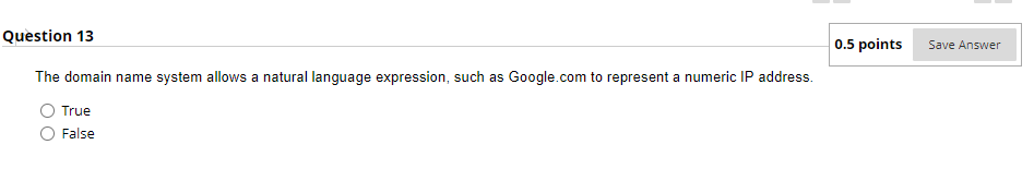  The domain name system allows a natural language expression, such as