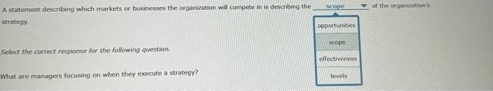  What are managers focusing on when they execute a strategy? Managers
