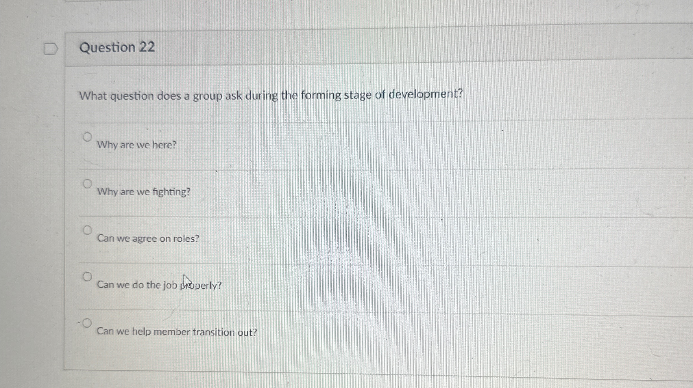  Question 22 What question does a group ask during the forming