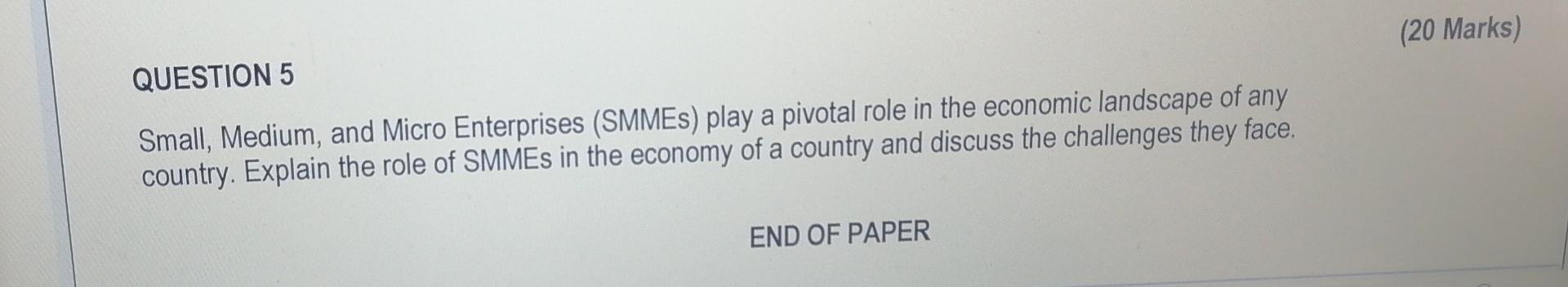  QUESTION 5 Small, Medium, and Micro Enterprises (SMMEs) play a pivotal