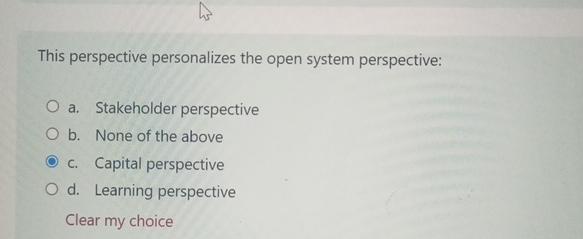  This perspective personalizes the open system perspective: a. Stakeholder perspective b.