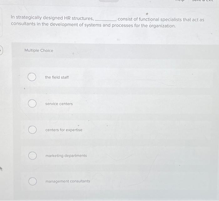 homework help :) In strategically designed HR structures, consist of functional specialists