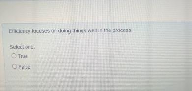 Efficiency focuses on doing things well in the process Select one:
