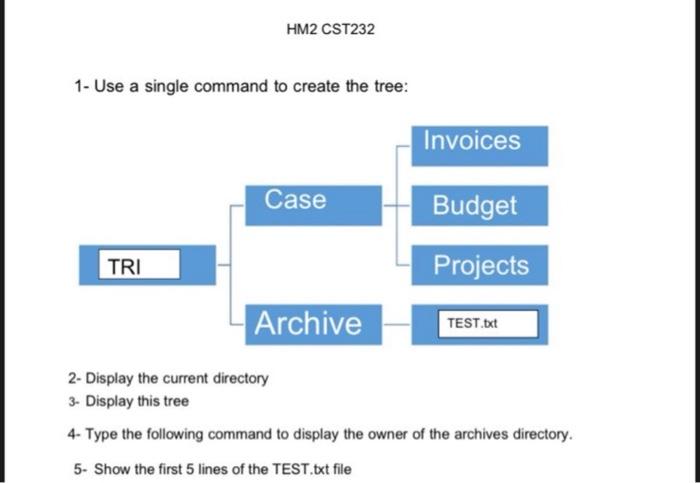  5 1- Use a single command to create the tree: 2-