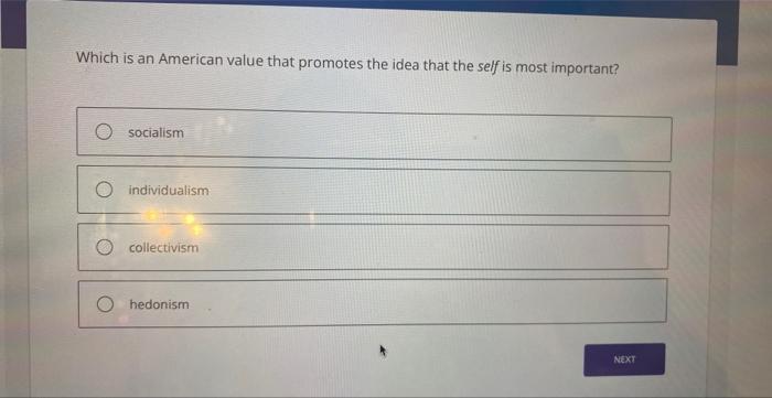  Which is an American value that promotes the idea that the
