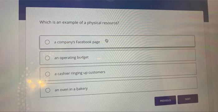 in order to meet a company's objectives Which is an example of