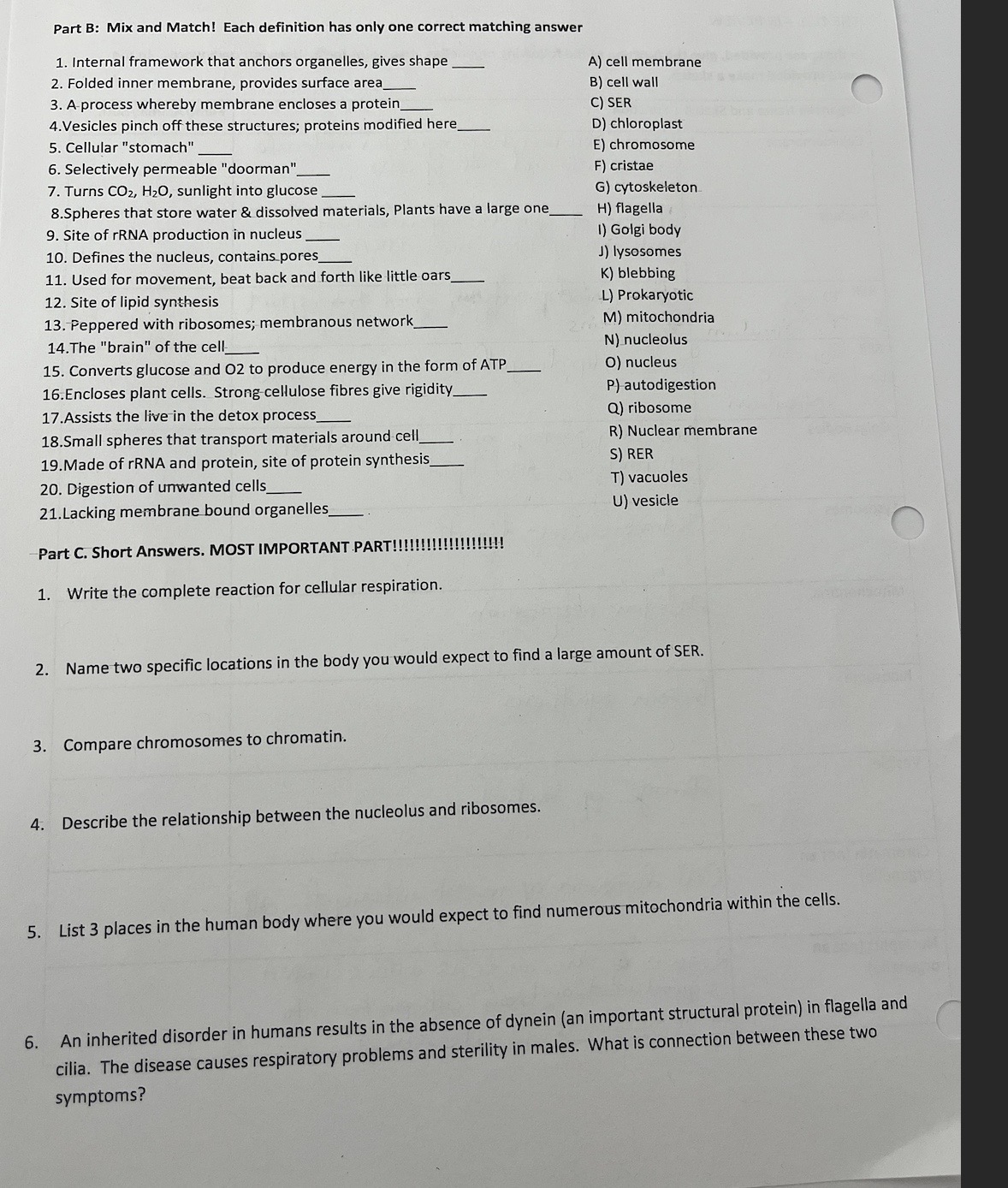  Part B: Mix and Match! Each definition has only one correct