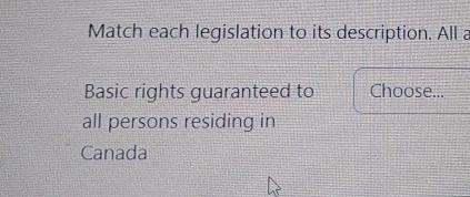  Match each legislation to its description. All Basic rights guaranteed to