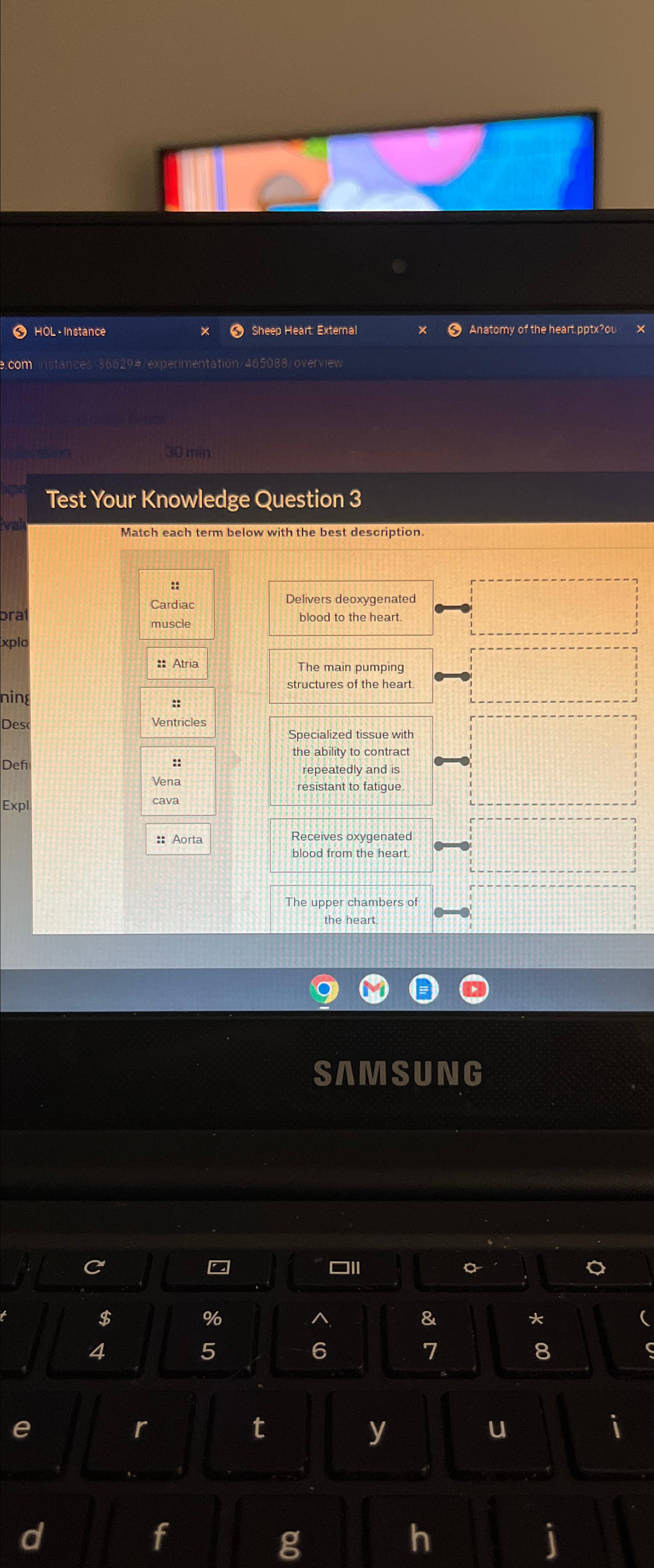  Test Your Knowledge Question 3 Match each term below with the