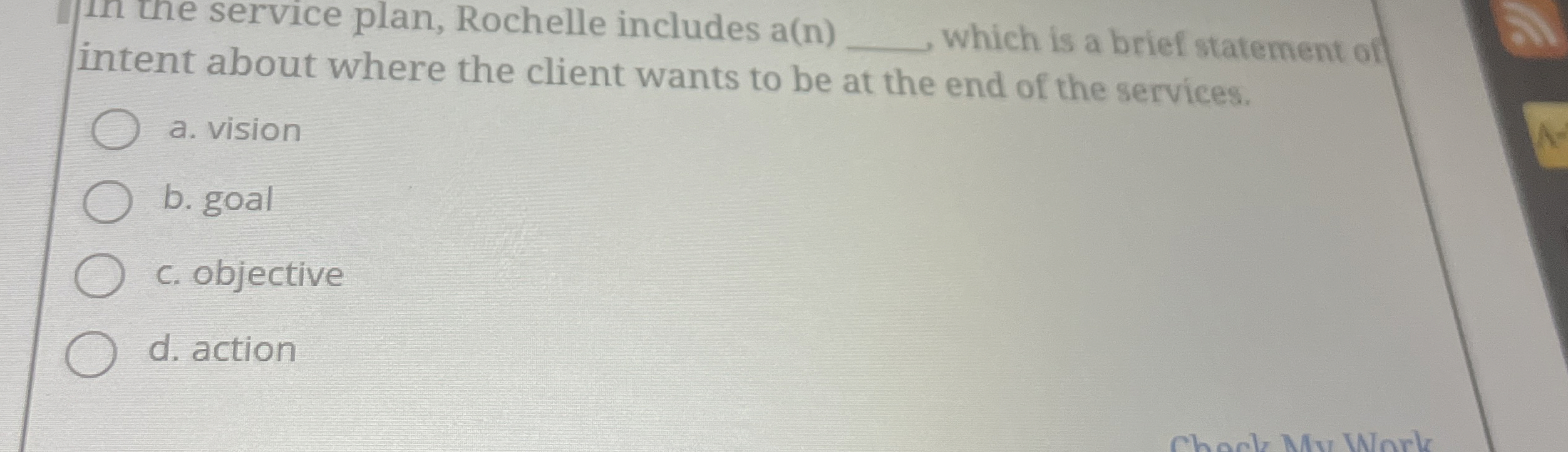  the service plan, Rochelle includes a(n) which is a brief statement