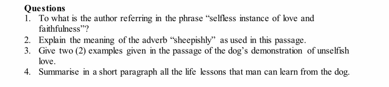 a dog. Imagine this scenario: it is raining heavily outside and you