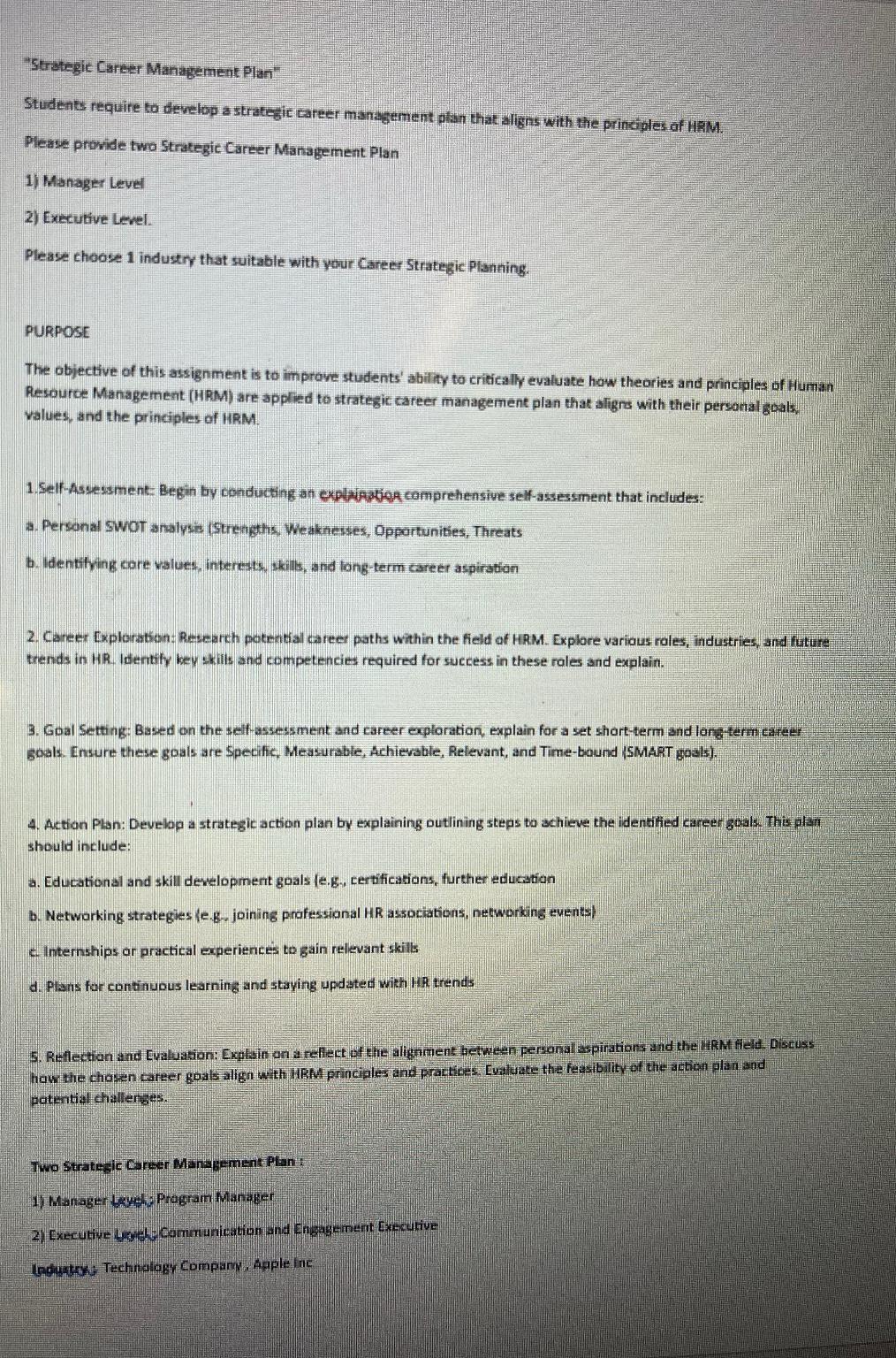  "Strategic Carcer Management Plan" Students require to develop a strategic career