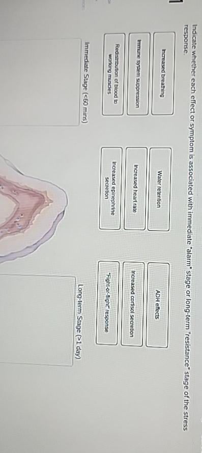  Indicate whether each effect or symptom is associated with immediate "alarm"