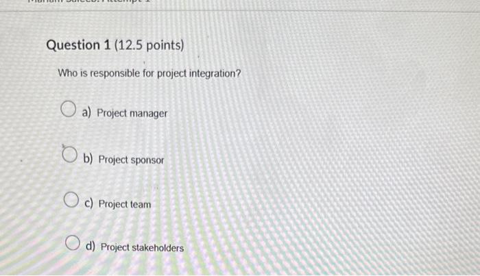  Who is responsible for project integration? a) Project manager b) Project