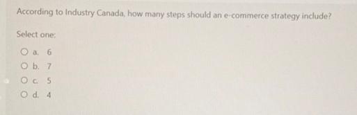  According to Industry Canada, how many steps should an e-commerce strategy