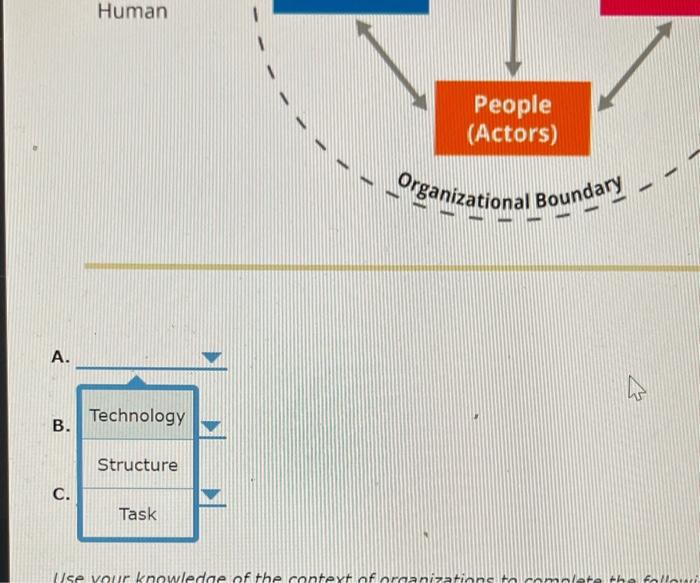 organizations. Human A. B