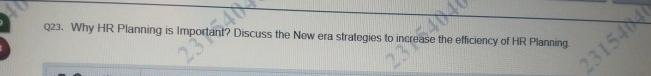  Q23. Why HR Planning is important? Discuss the New era strategies