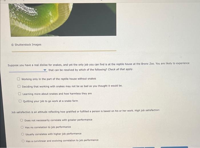 of attitudes, job satisfaction, and how they influence behavior at work. You