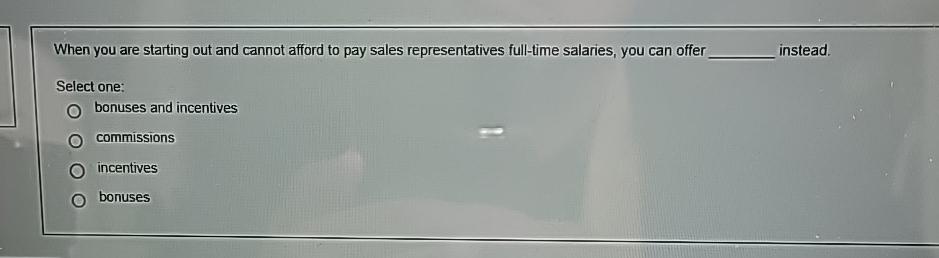  When you are starting out and cannot afford to pay sales