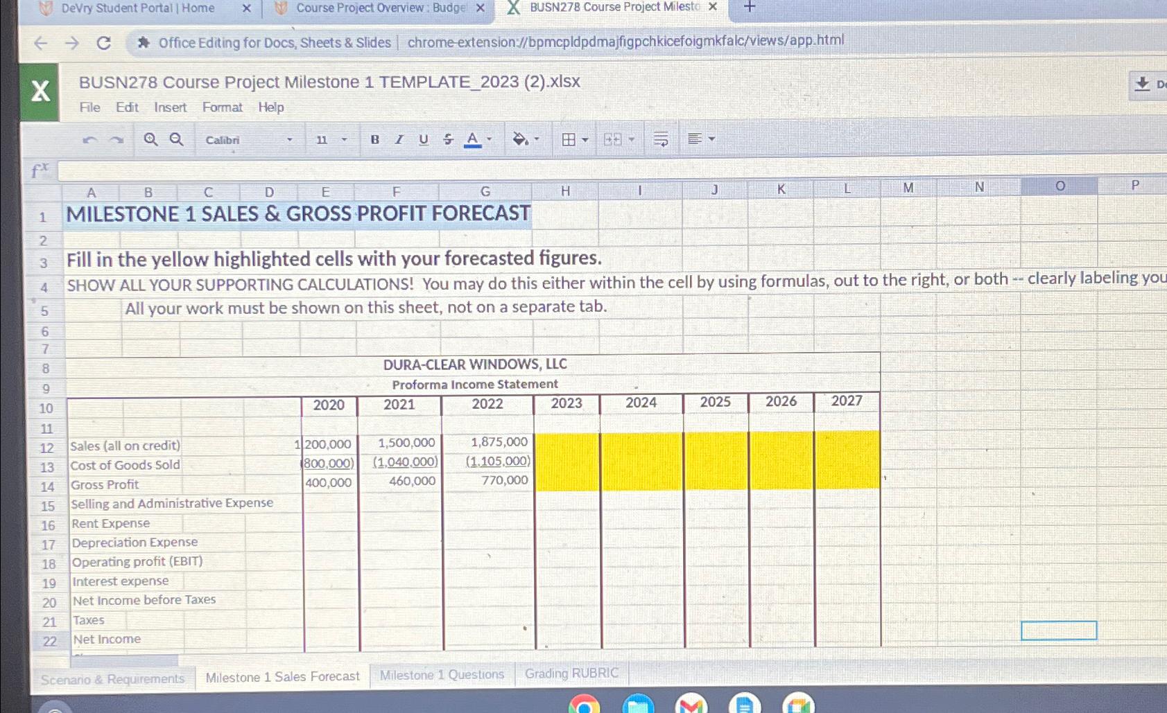  DeVry Student Portal| Home Course Project Overview: Budge BUSN278 Course Project