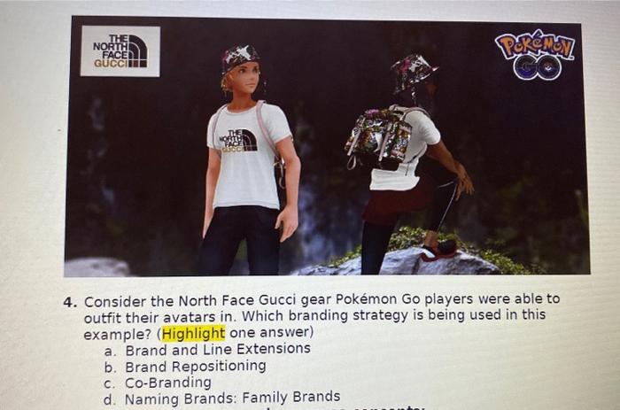 Please explain your reasoning thank you 4. Consider the North Face Gucci