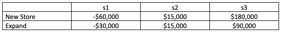 An independent electronics store is contemplating either opening another store or expanding