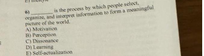  is the process by which people select. organize, and interpret information