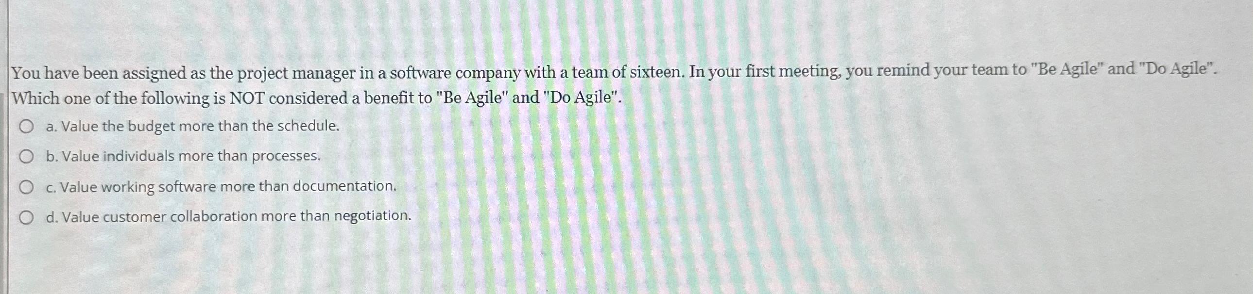  You have been assigned as the project manager in a software